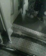 上海地铁10号线追尾现场图片（全）