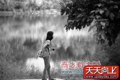 深圳华侨城湿地正式免费向公众开放 免门票