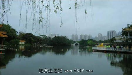 52个深圳免费旅游景点大全 免费景点都在这里啦！